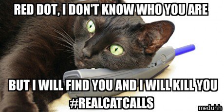 HomeyPet's tweet photo. #RealCatCalls 📞🐱🐾 https://t.co/E8UVMPxZDt