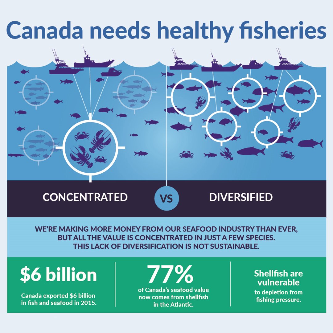 oceana's tweet photo. Only 24% of #Canada’s fish stocks are considered healthy. https://t.co/LfjfUUyVVX @OceanaCAN #HeresTheCatch https://t.co/gJhYREQ4BG