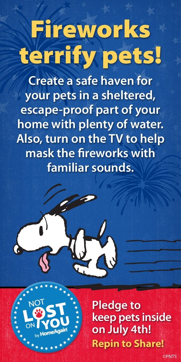 PawsintheCity's tweet photo. FIREWORKS- ALERT!
Please consider your four-legged family members this 4th of July!!
#InsteadOfFireworks
#Saturdate https://t.co/YLHFGTIJRK