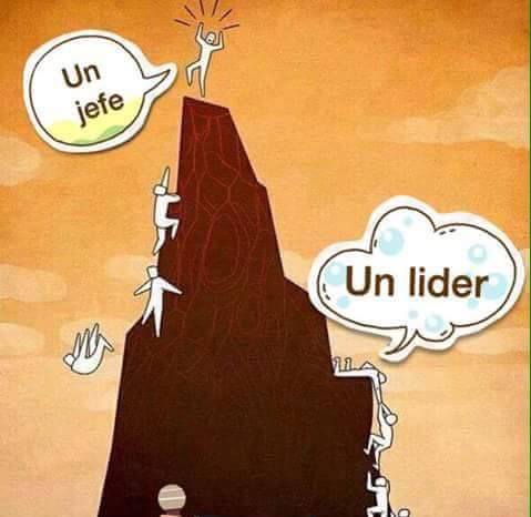 SAUCEDOGUIDO's tweet photo. 👏Diferencias..✨#liderazgoresponsable ⚡#SabadoDeGanarSeguidores 🐾 https://t.co/5xx8WpOJIr