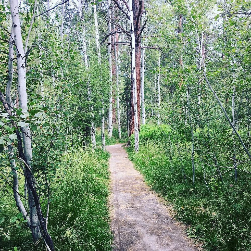 hotbirdrunning's tweet photo. Happy Fourth of July weekend! It's a great weekend for a trail run. Slow down, enjoy the v… https://t.co/PYmNYcU5Lb https://t.co/KfEFTKOiyt
