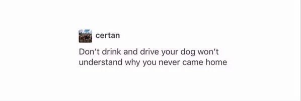 StumblerVideos's tweet photo. if this isn't enough of a reason to not drink and drive idk what is https://t.co/VIcjuoFc0x