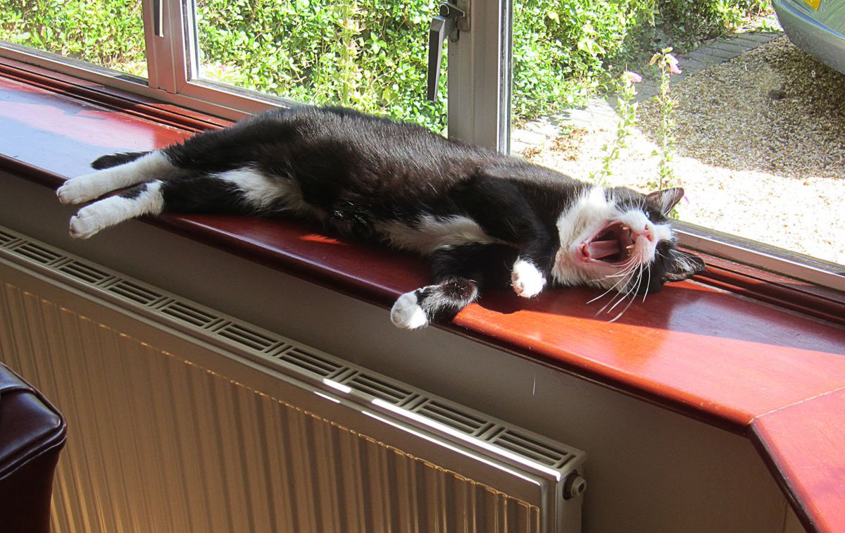 Out all night - I'm so tired !!!!!!!!!!!!!