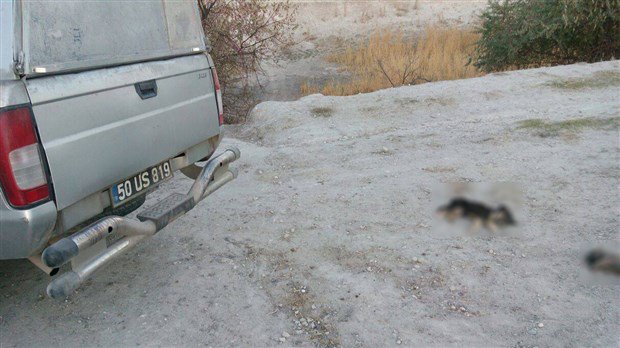 Serefsizler (!)
Nevşehir valiliği göreve
Bir canlıya bu zulüm yapılır mı
Lütfen herkes paylaşsın
Görsün bilsin !!!