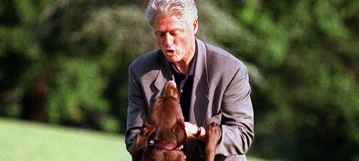 ocdogranch's tweet photo. Former #Presidents obsessed with their #dogs! https://t.co/oas7CBzvAj https://t.co/PiEuTemb9C