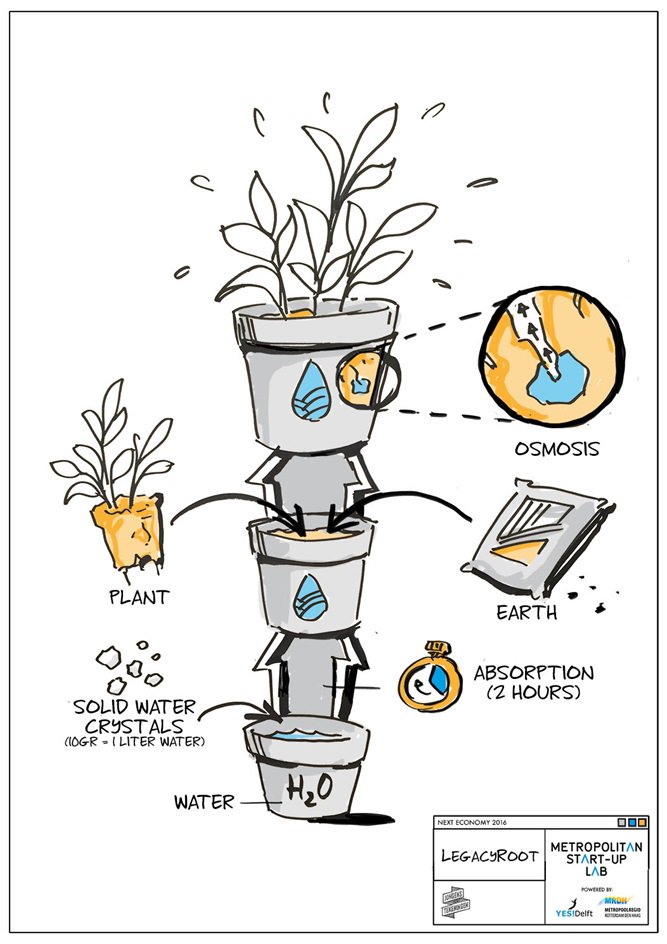 MetroStartupLab's tweet image. LegacyRoot regains the forests and farms lost by desert forming. Meet them 7 July: bit.ly/296bkGF.