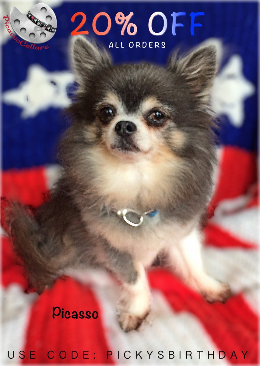 Picasso13_'s tweet photo. 20% OFF SALE now through 7/4! Use code PICKSBIRTHDAY. https://t.co/WV5R91nqZn or https://t.co/lGQPnKaBuE. #dogcollar https://t.co/Uhsm4DWoVD