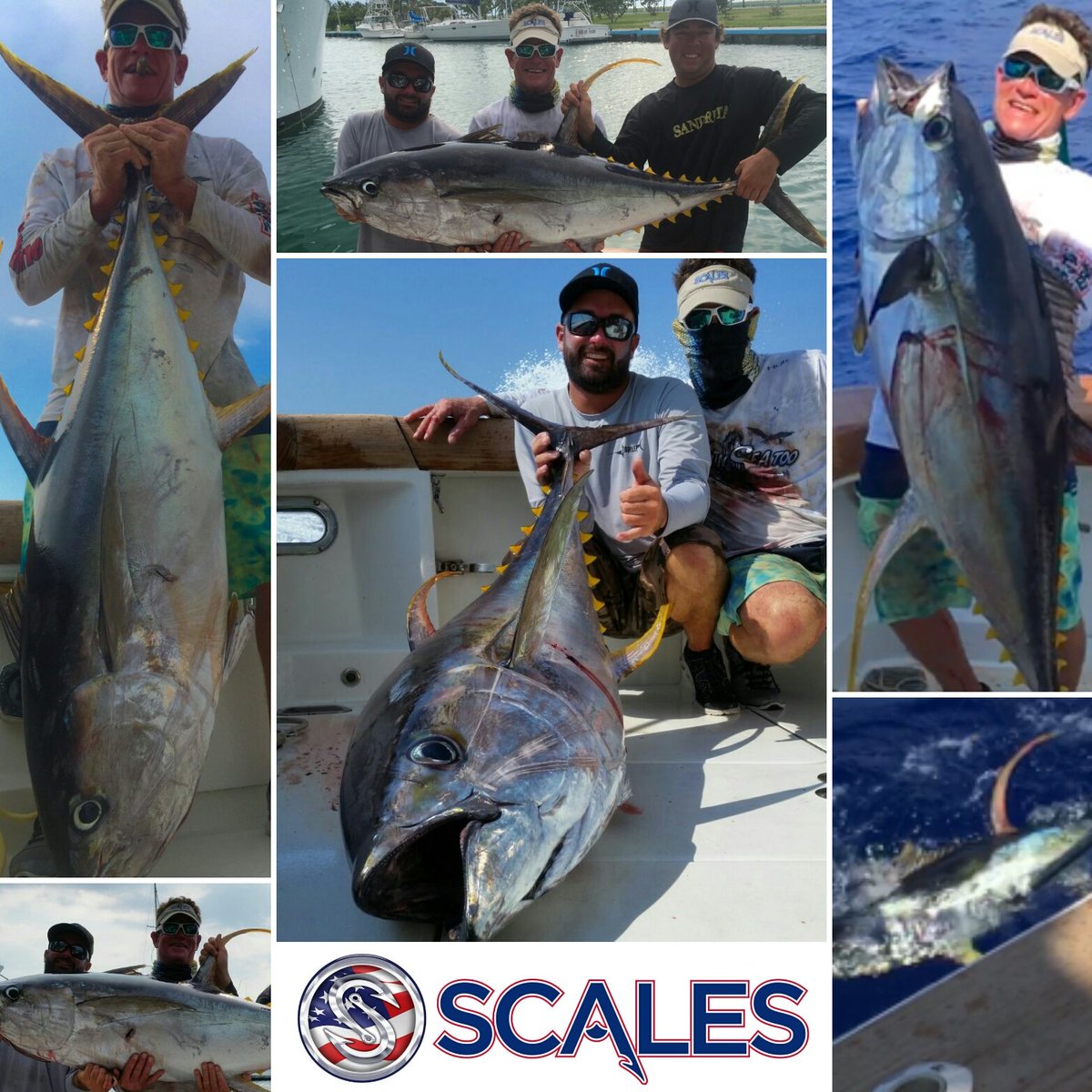SCALESGEAR's tweet photo. #ScalesInHavana with #scalesproteam #captian Tim Maddock #catchingslobs #Cuban #YellowfinTunas. #cubano #scalesgear https://t.co/ZJUuG2U3AW