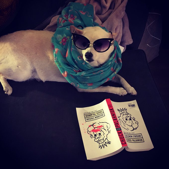 @SiouxsieQJames how do you feel about dogs? #ChuckPalahniuk @chuckpalahniuk #InvisibleMonsters https://t<a class="tags" target="_blank" title="On Twitter" href="/?out=eyJ0eXAiOiJKV1QiLCJhbGciOiJIUzUxMiJ9.eyJpYXQiOjE3MjQ0Mzk5MjgsImlzcyI6InR3cG9ybnN0YXJzLmNvbSIsIm5iZiI6MTcyNDQzOTkyOCwiZXhwIjoxNzU1OTc1OTI4LCJyZWRpcmVjdF91cmwiOiJodHRwczovL3R3aXR0ZXIuY29tL1Npb3V4c2llUUphbWVzIn0.pbxjP8uccoVXDS5QE3gHPQG8kwNSyHPqSwwsrY4HGrlXhMoXaZmOpsbOuKPZ6RYmd6BXtUP6QA_zniBaBCPVMg">@SiouxsieQJames</a><a href="/tag/chuckpalahniuk"class="tags">#ChuckPalahniuk</a><a href="/tag/invisiblemonsters"class="tags"><span>#invisiblemonsters</span></a>