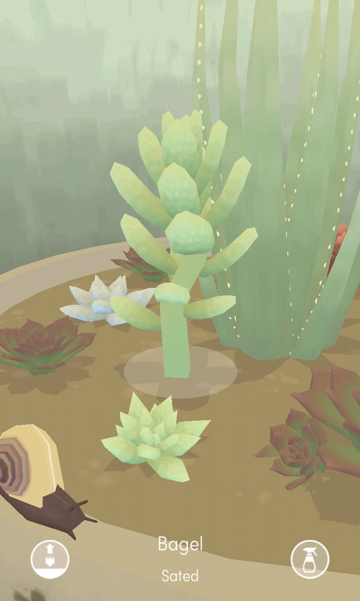 kvebox's tweet photo. @kvebox @byango also i named one of my viridi plants after you and you tower over all the other children https://t.co/EmRzfjVYfb
