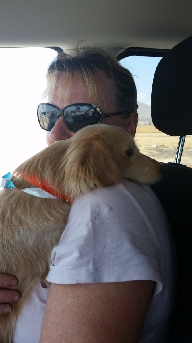 FurEverPawz's tweet photo. Nothing sweeter then the ride to freedom! Well maybe hugs! https://t.co/YklVMZR7Sd