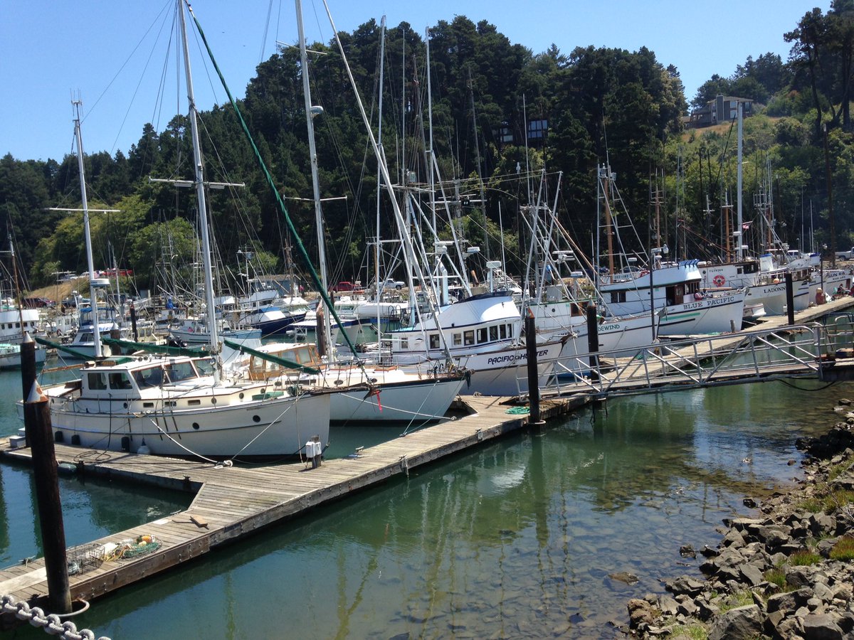 MargoSlack's tweet photo. #noyoharbor @FortBraggCA #salmonrestoration @worldslargestsalmonbbq awesome food😎 https://t.co/pRrRpzWXAZ