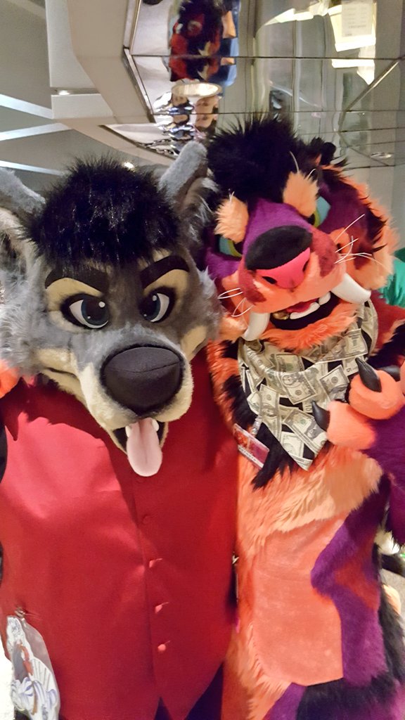 RawrRawrSaber's tweet photo. I snagged a @ravertooth ive wanted to get a pic with this kitty a long tiiiime, im a nub in disguise tho #stublyfe https://t.co/i3d7bvCA1e