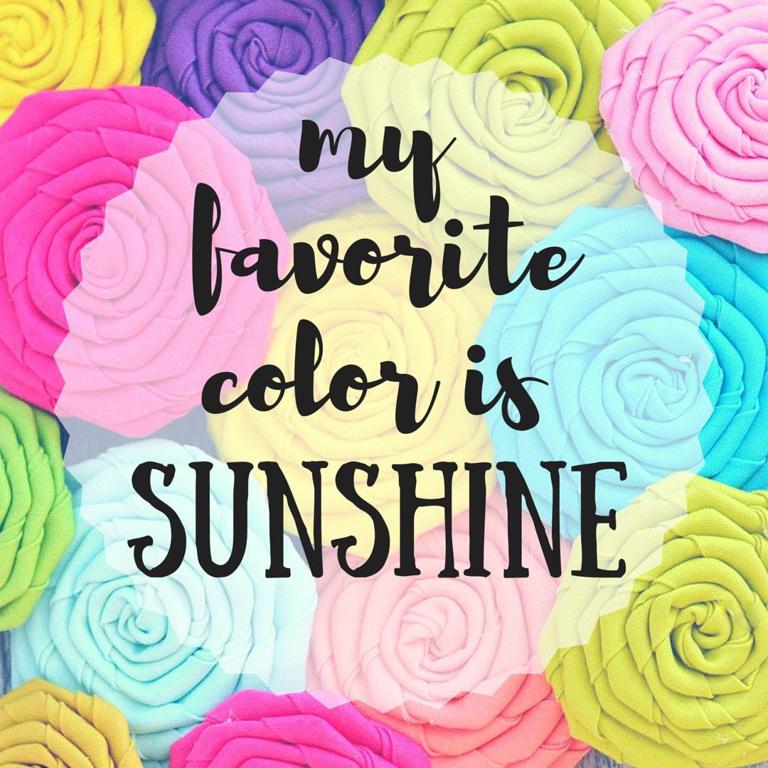 puddlejumperpup's tweet photo. Sunshine is the best medicine! 💚💜💛#PuddleJumperPups #DogsOfTwitter #PJP #CollarFlowers #Accessories #DogsAreLove https://t.co/qZDzgT9R67