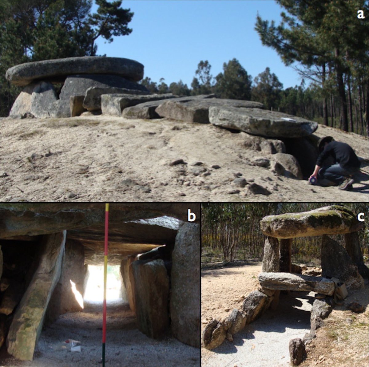 gail_gwalker2's tweet photo. A 6,000-year-old telescope without a lens - https://t.co/p12K7sYGEQ
Good  read for Y9
#solarsiblings
@jharrington17 https://t.co/BAT6Ul4d2U