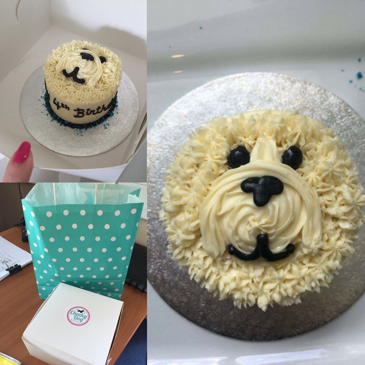mahonchrissy's tweet photo. A certain some1's 4th #Birthday tomorrow HUGE #thanku @CheekyDogBakery for creating tis custom made #dogfriendlycake https://t.co/yHztJ0N17M