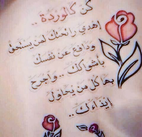 شهكتك و الهوه تيهته وشتم بيك هو اني ريئتي لكيته بريئتك تشهكه مو بس الخبز قاسمت نفسي وياك #قروب_عاشق_للدعم