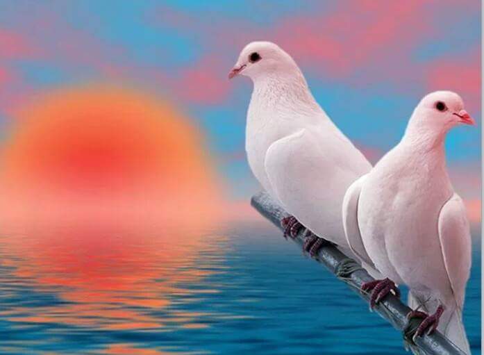 مع كل رآحل جزء منا يرحل ،،، ومع كل موت جزء منا يموت ،، نعم الحياة لآتقف ،، لكنها تنقص ~~