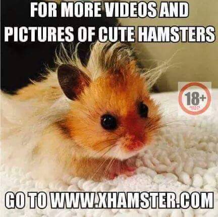 OffensiveGerman's tweet photo. #cute #TheMoreYouKnow https://t.co/D3LfTXkCSV