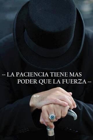 HFAGMA♻ tweet media