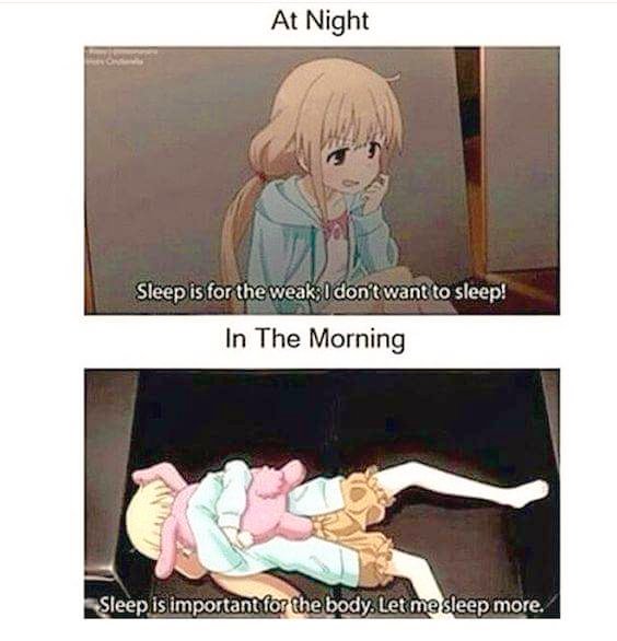 TurntAkamaru's tweet photo. Otaku life https://t.co/JspPNiPcLw