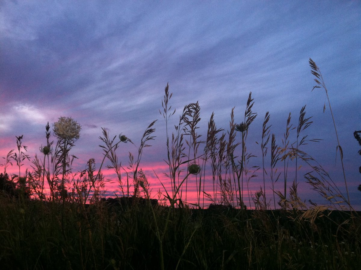 TruckerHam's tweet photo. Last night's #sunset pic - #Iowa. #truckerham https://t.co/KPYkJkeJx9