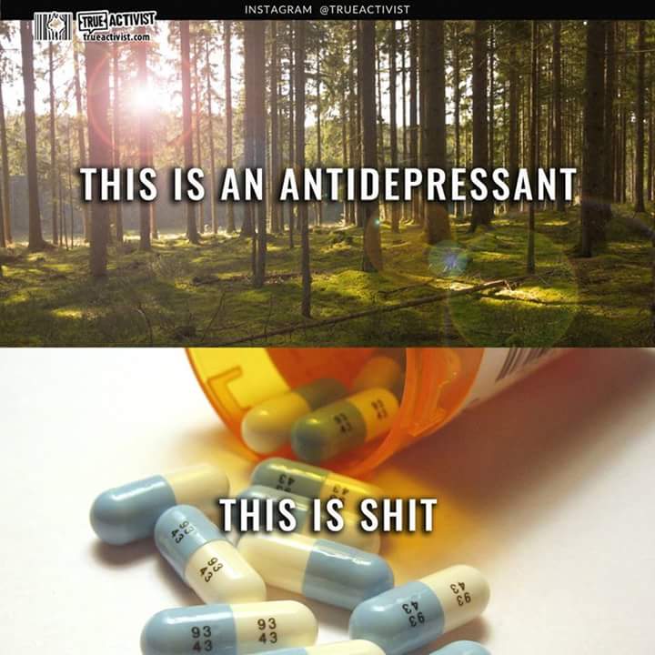 raulprietofdez's tweet photo. Nature is the future. #nature #shit #bestrong #thinkinpositive #notallisbad https://t.co/Kb6m9JRmq0