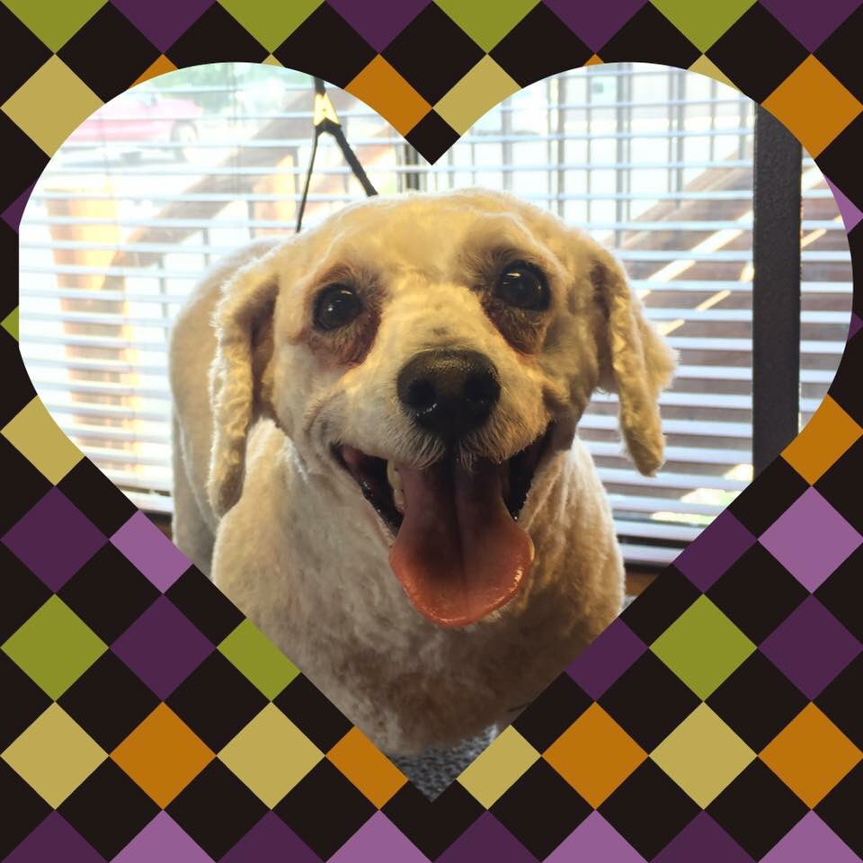 RogerSinclair7's tweet image. 