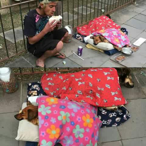 Animalesmsjs's tweet image. — Demuestra lo humano que eres, no lo abandones. 💔👏👏🐱🐶