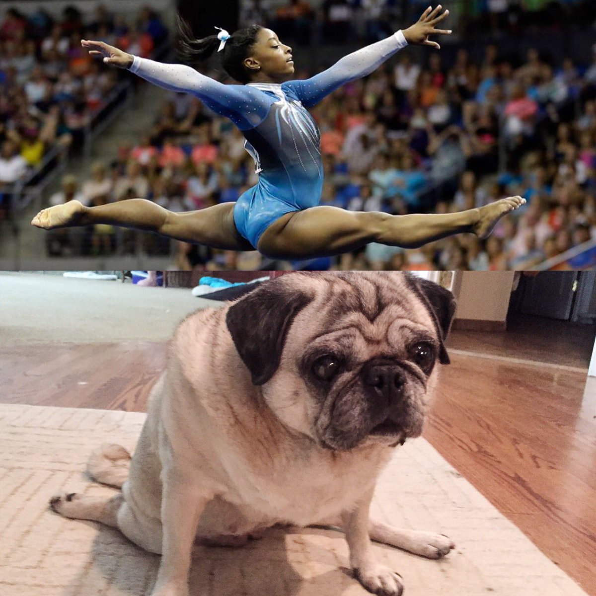 Working on perfecting my splits so I can be like <a href="/Simone_Biles/">Simone Biles</a>! instagram.com/p/BHYGmHjDVnU/
