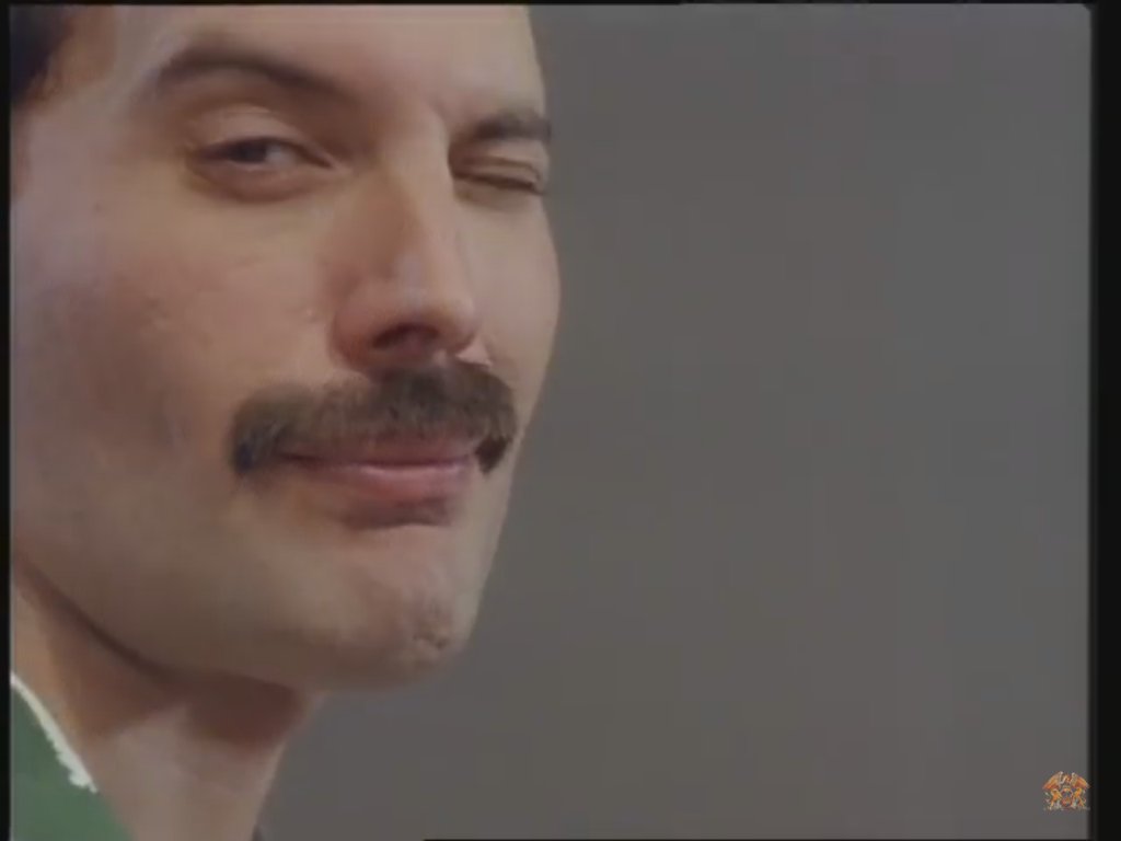 Merlina1877's tweet photo. ... cada vez duele mas la partida de los que tanto amamos... #MissingFreddie Gracias Adam por atenuar el dolor https://t.co/5EOFnhAtWS