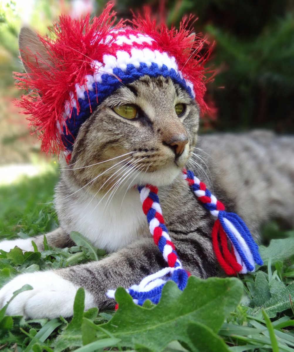 JupiterWay's tweet image. This screams fireworks