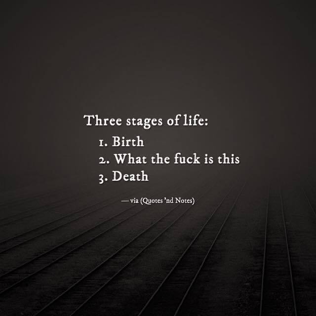 Three stages of life: Birth, What the fuck is this, Death.”