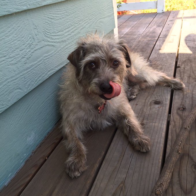 Someone got her warts removed. https://t.co/gGbP0W7sbQ<a href="/tag/mvsales"class="tags"><span>#mvsales</span></a>