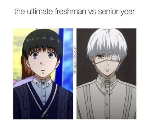 TheRealEinstong's tweet image. 