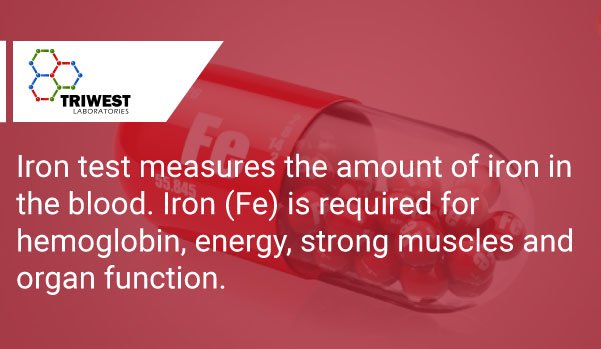 TriWestLabs's tweet photo. #IronTest measures its amount in #blood. It is required for #hemoglobin, #energy, strong #muscles & #organ function. https://t.co/q4CWKxMtK2