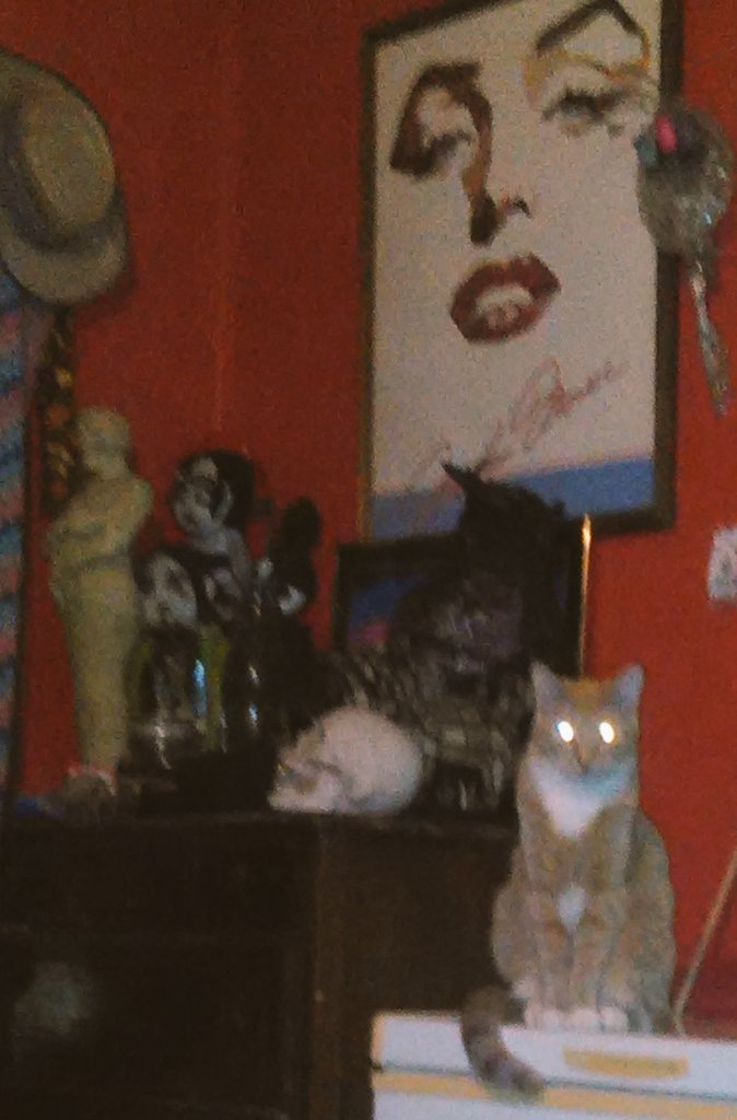 midnightdeity11's tweet photo. #bug #spotted #lasors #lockedOn *the olienater* @GrimmNyte @Megbowser79 @Elyzium13 @TransmogriFi @CutePicsOfCats https://t.co/pdHeEdFrqG