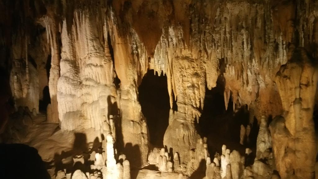 LCPilson3's tweet photo. Who knew FL was beautiful below and above ground. Caverns are cool. #lovingfl https://t.co/Ctwi4ClUnu