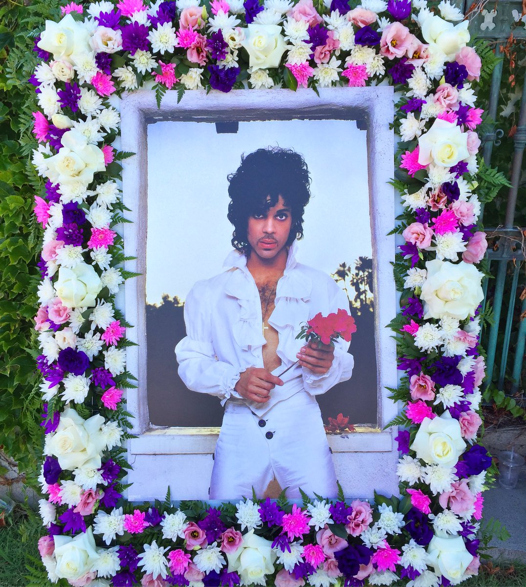cinespia's tweet photo. For all coming to #Cinespia tonight, there will be an altar on the field to place offerings for 🌷🌹PRINCE 🌺🌸 https://t.co/V9xe32nxXK