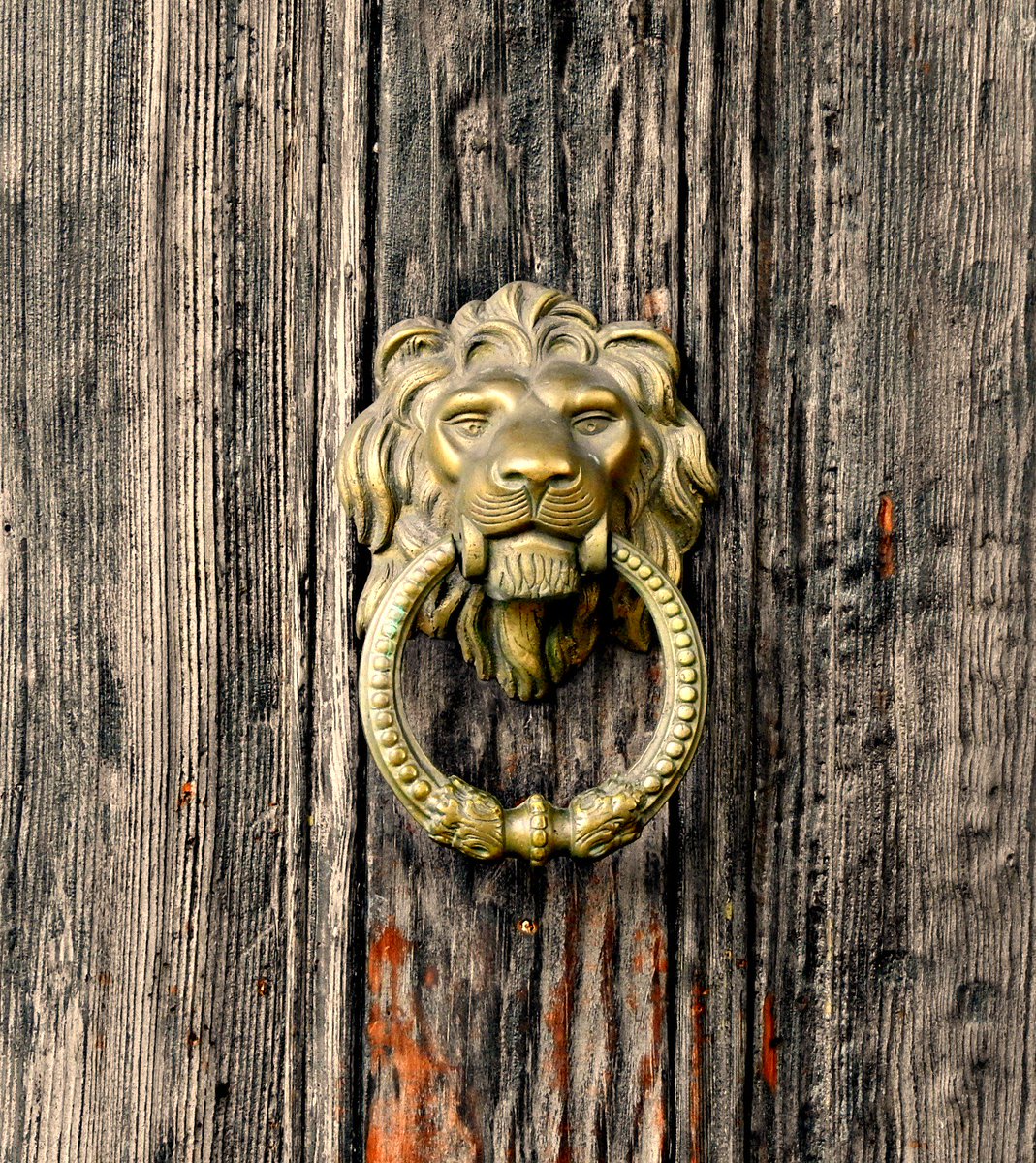 Lion's head door knocker <a href="/TheLionsShareSD/">The Lion's Share</a> #SanDiego