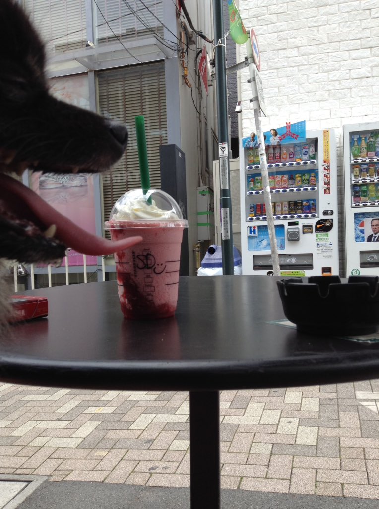 yoshi_cro's tweet photo. 今日もあぢ〜〜くなりそう
いちごクリームフラペチーノ
(^O^)／ https://t.co/wSki3bai0g