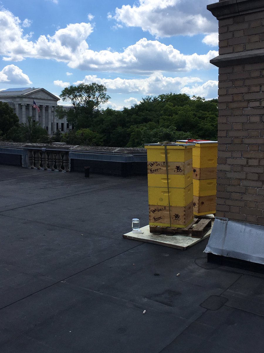 HistorbeeHive's tweet photo. Just buzzin' around in our museum-filled 'hood. Life is good for a #historbee in #Minneapolis https://t.co/RBlNw08BhD