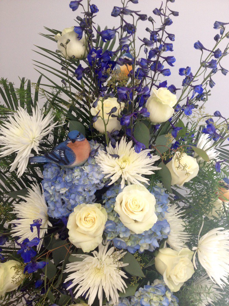 kevkelley2's tweet photo. For the Blue Bird lover. https://t.co/hFZGTtw5o7
