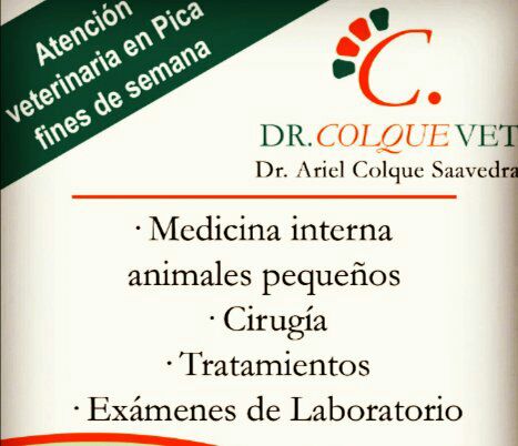 DrColque's tweet photo. Atendiendo en pica hasta las 10pm 
#pica #iquique #medicoveterinario #vet #iqq #oasis #picacity https://t.co/ZKgYBYsuzp
