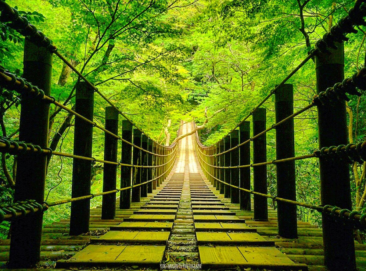 Yuk Mugen16 新緑の花貫渓谷 花貫渓谷 汐見滝吊り橋 ファインダー越しの私の世界 写真好きな人と繋がりたい s T Co Jas67y1jey Twitter