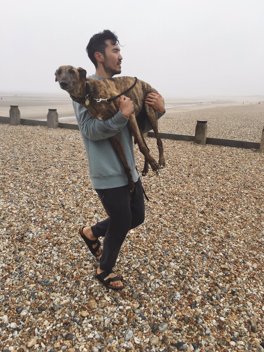 EsteeLalonde's tweet photo. #deceased (Reggie refused to walk on the pebbles) 😂 https://t.co/ZRGBT8UuzR