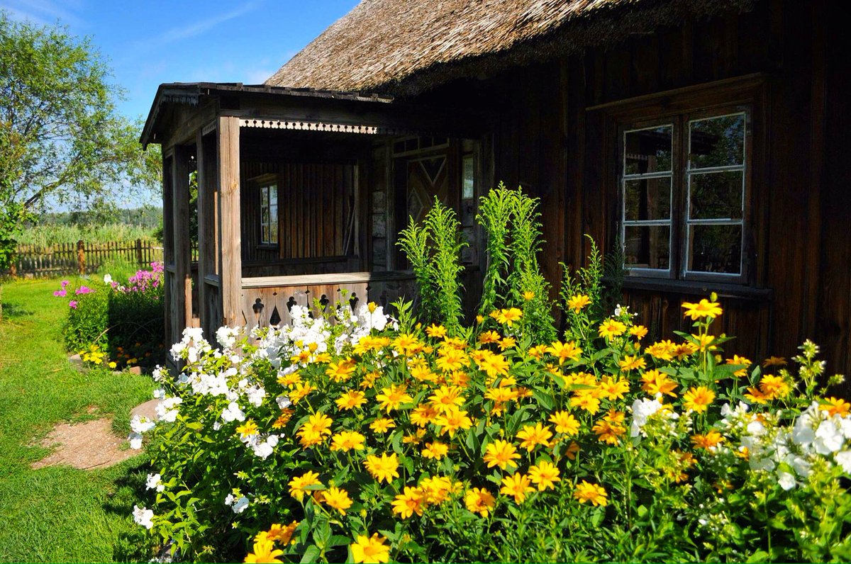 brivdabasmuzejs's tweet image. Viss muzejs vienos ziedos. #brivdabasmuzejs #lurki