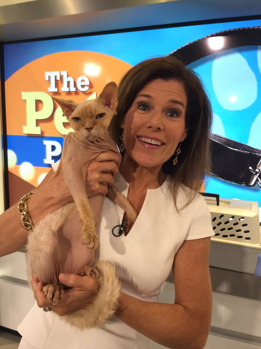 Look at my little alien looking pal on Pet Parade! I LOVE this lil' man! Tune in,10 mins! #wbz