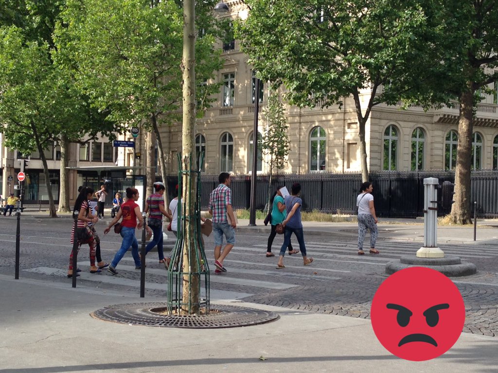 guideconf27b's tweet image. Nous #guidesconférenciers alertons tlj sur les bandes de pickpockets.Que faire ? Porter plainte contre @BCazeneuve ?