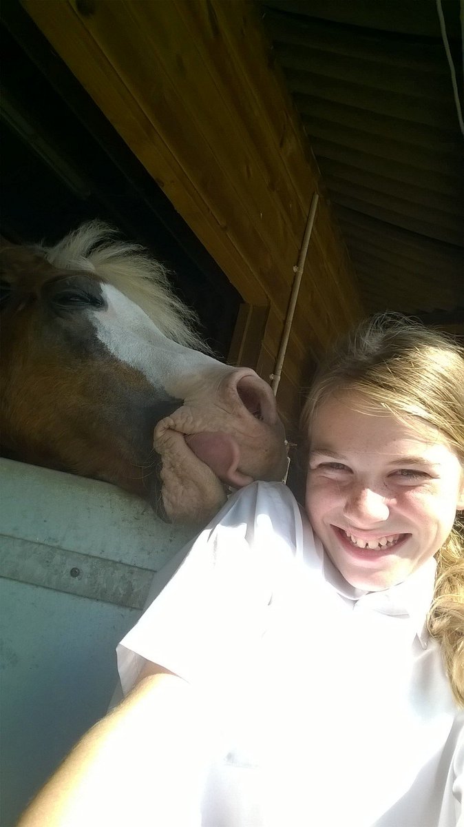 WelshSectionA's tweet image. Love this gorgeous boy forever.. change of plan not going NMRC show 😑😢 shame my gorgeous boy would do good x GLE xx